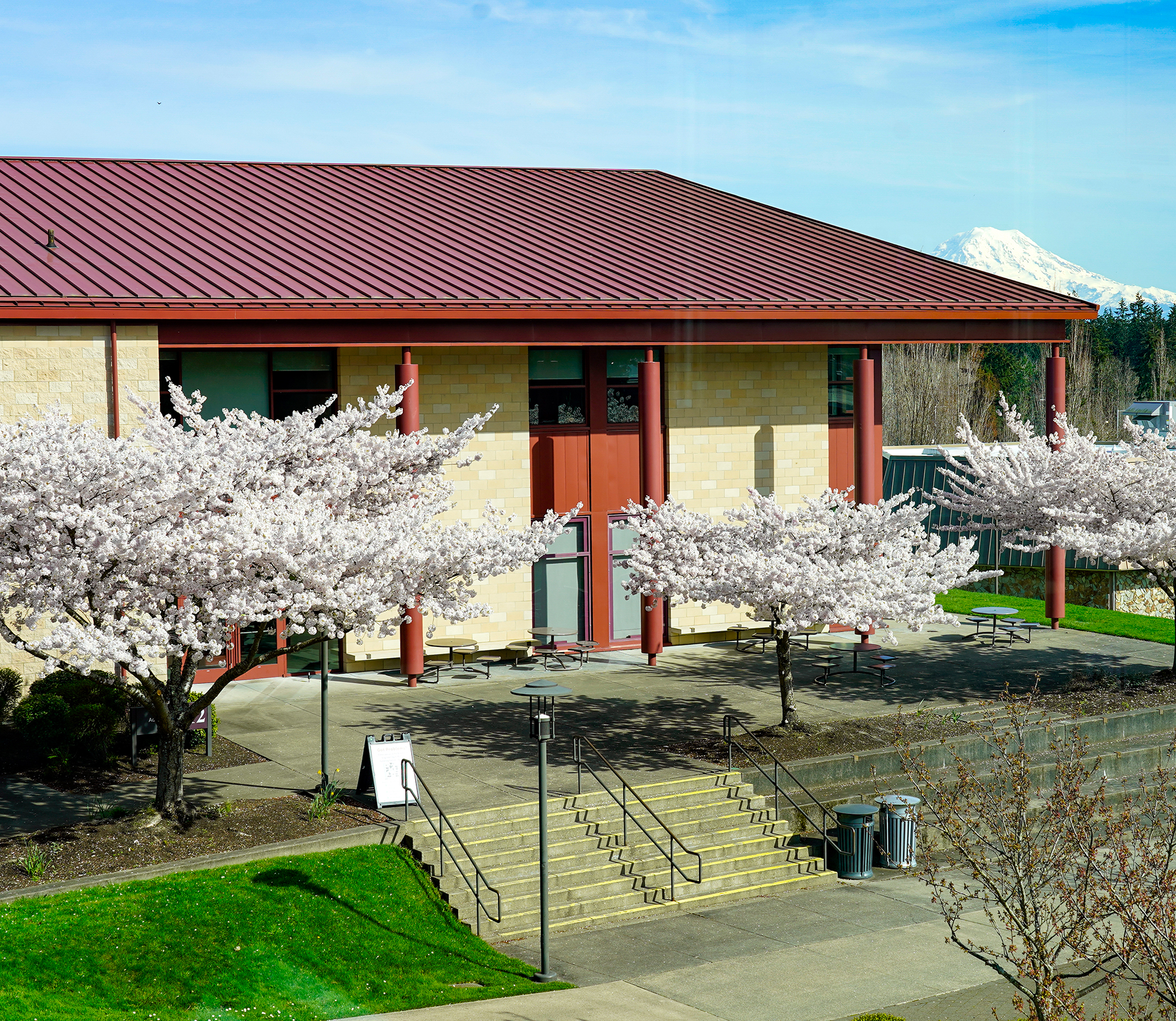 Bird's eye view of Classroom and Administration building with cherry trees in bloom