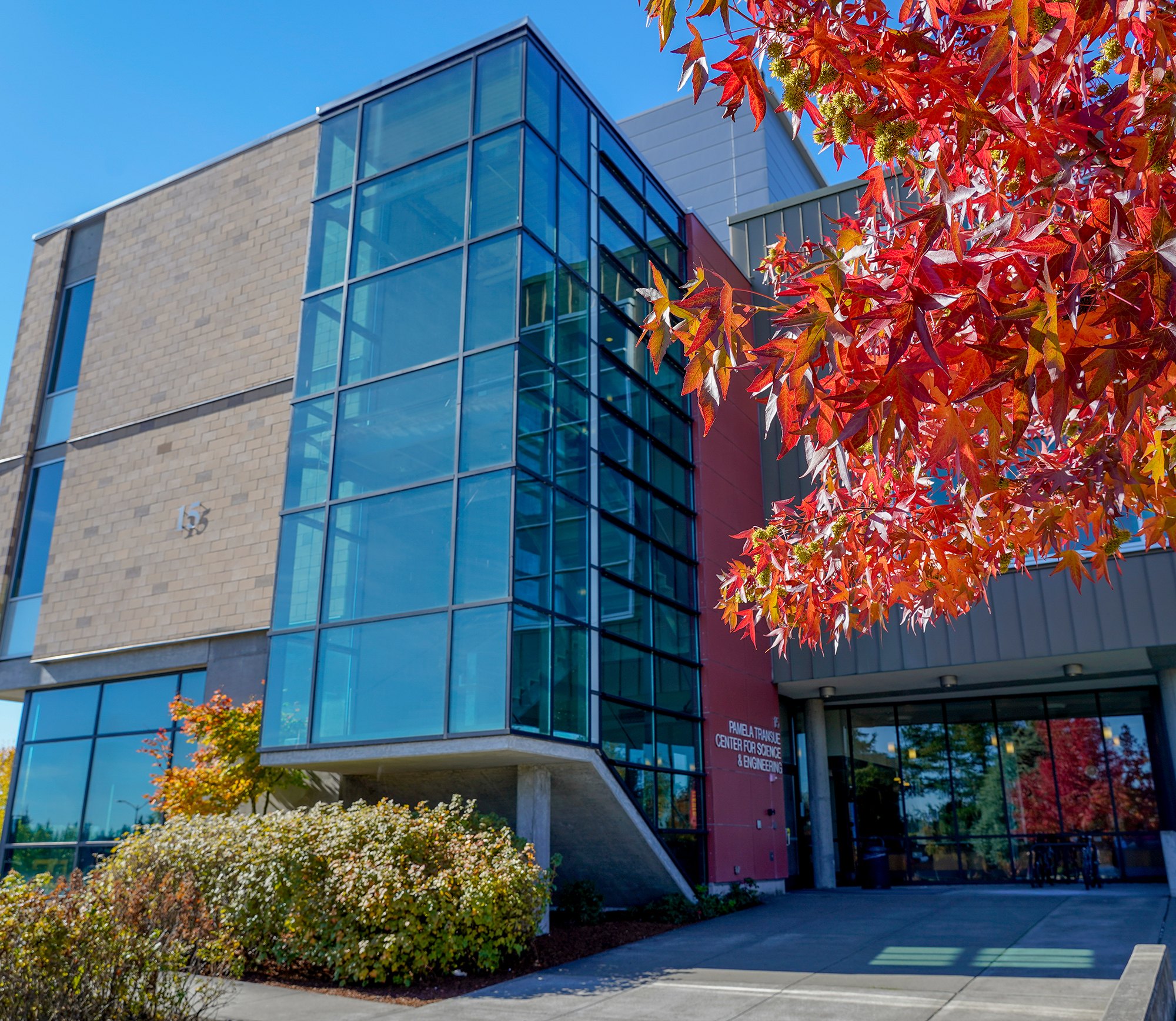 Low angle view of the Science and Engineering building with fall leaves in foreground