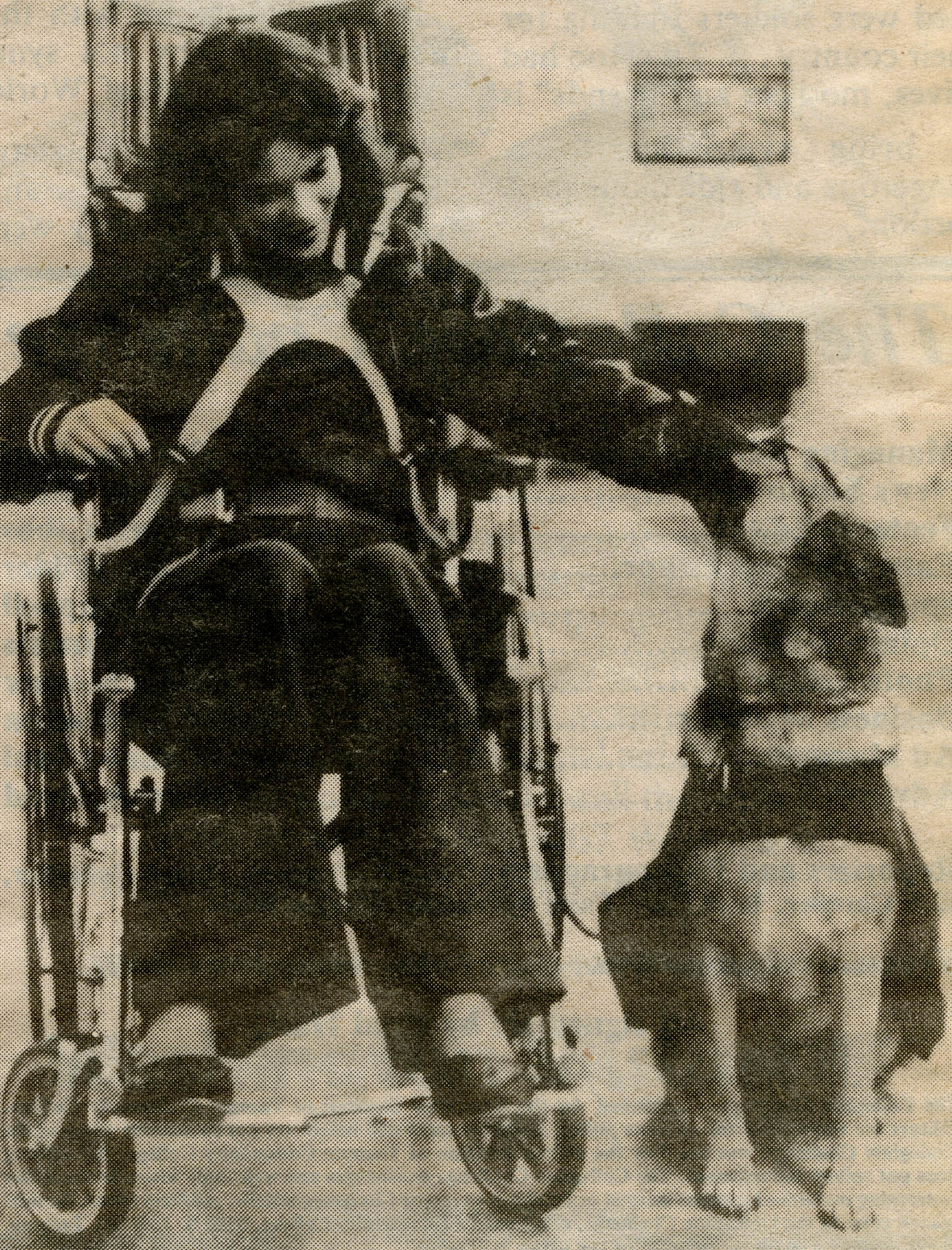 Young woman in wheelchair with service dog