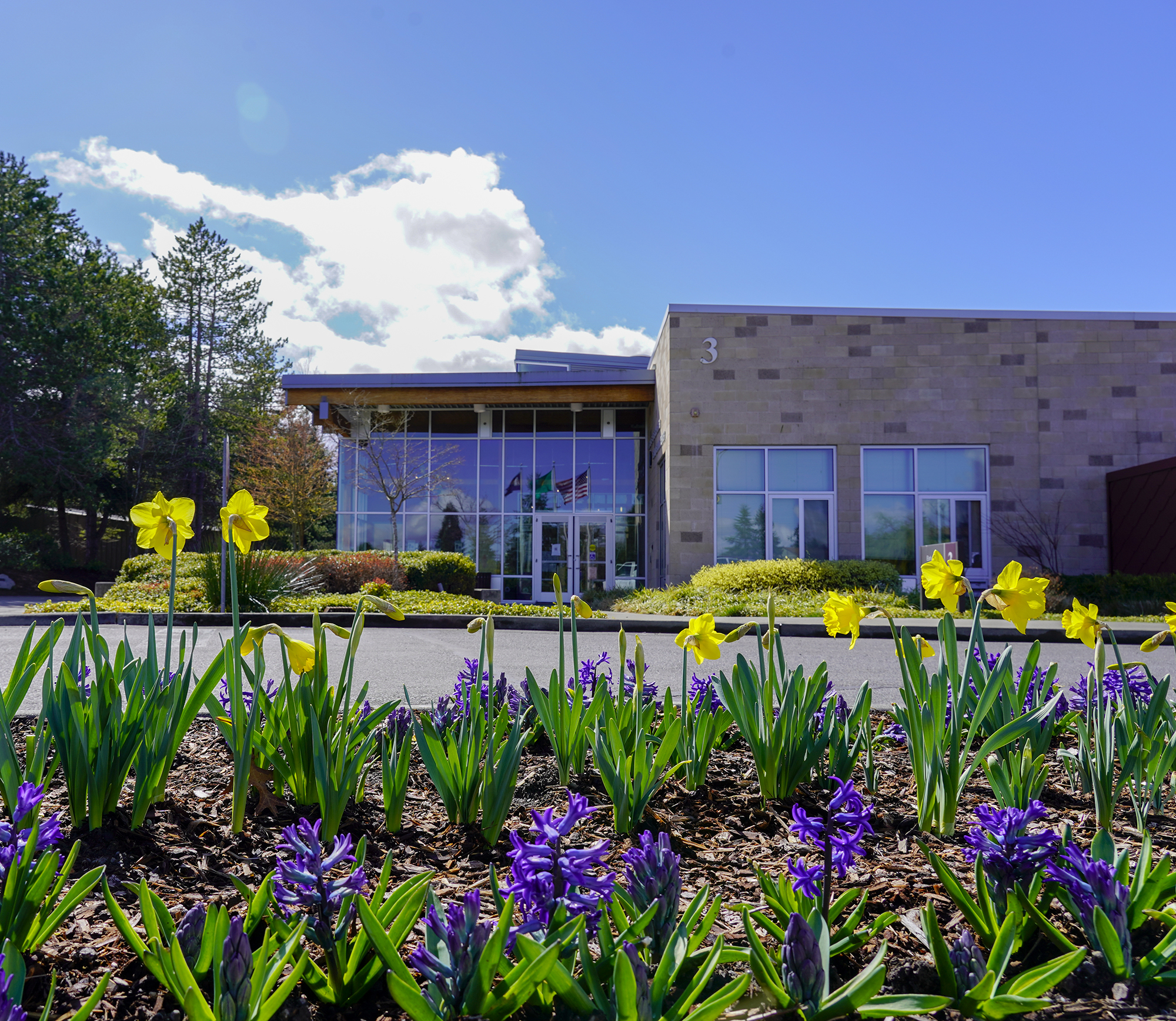 Low angle view of the Early Learning Center with flowers in the foreground